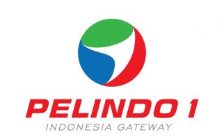 Menhub Minta Pelindo I Cari Partner - JPNN.com