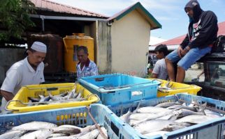 3 Besar Negara Tujuan Ekspor Ikan dan Udang Jatim - JPNN.com