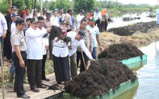 Rumput Laut Makin Menjanjikan, Sekali Panen 3,5 Ton - JPNN.com