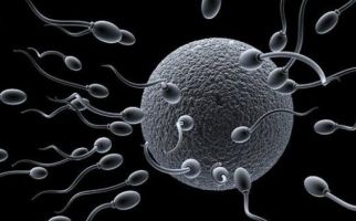 Waspada Bro! 6 Hal Ini Bisa Menggangu Fertilitas - JPNN.com