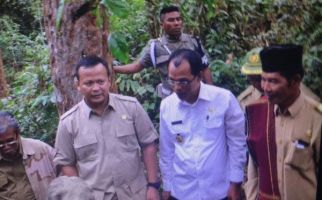 Komisi IV Tinjau Hutan Adat di Pandumaan-Sapituhuta, Sumut - JPNN.com