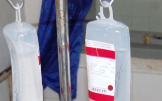 Rumah Sakit Tak Punya Obat Rabies untuk Korban Serangan Kera - JPNN.com