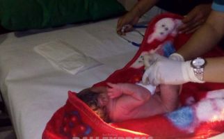 Bayi Malang Itu Dibuang ke Tumpukan Sampah - JPNN.com