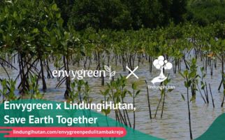 Upaya Envygreen dan Lindungi Hutan Menyelamatkan Bumi - JPNN.com