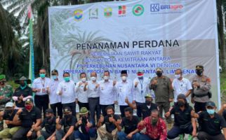 Gandeng Koperasi, PTPN VI Jambi Gelar Penanaman Peremajaan Sawit Rakyat - JPNN.com