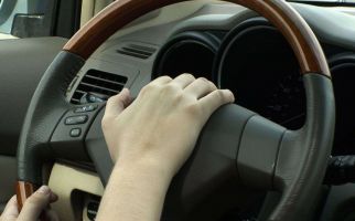 Menteri Transportasi Akan Ganti Suara Klakson Kendaraan dengan Bunyi Biola - JPNN.com