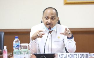 Ribuan Desa Belum Terjangkau Internet 4G, DPD Menyikapi Begini - JPNN.com