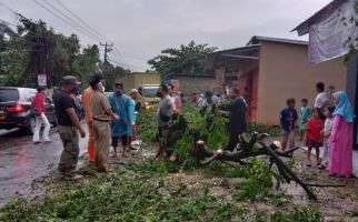 Hujan Lebat, Belasan Pohon Tumbang Menimpa Rumah Sampai Mobil di Depok - JPNN.com