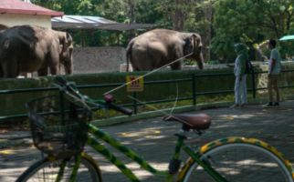 Tegas, Pengelola Kebun Binatang Gembira Loka Zoo Tolak Ratusan Wisatawan - JPNN.com