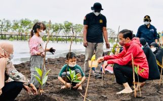 Tanpa Alas Kaki, Jokowi Tanam Mangrove di Bengkalis - JPNN.com
