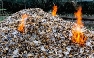 Bea Cukai Musnahkan Pita Cukai dan Rokok Ilegal - JPNN.com