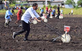 Menanam Jagung di Sorong, Jokowi: Ini Lahan yang Sangat Luas - JPNN.com