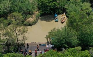 Chevron Terjun Langsung Mendukung Penyelamatan Mangrove di Jakarta dan Riau - JPNN.com
