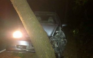 Mobil Tabrak Pohon, Warga Negara Asing Ini Malah Marah Saat Ditolong, Sontoloyo! - JPNN.com