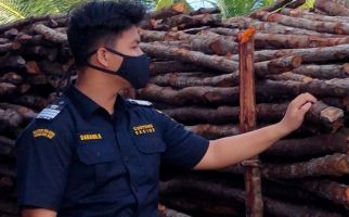 Bea Cukai Kepri Gagalkan Penyelundupan 6.472 Kayu Teki ke Malaysia - JPNN.com