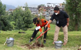 Pemkot Batu Dapat Bantuan Seribu Bibit Pohon untuk Penghijauan - JPNN.com
