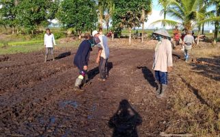 Produktivitas Petani di Kubu Raya Kalbar Meningkat - JPNN.com