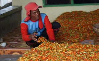 Kementan Dorong Pemasaran Produk Hortikultura Melalui Pasar Lelang - JPNN.com