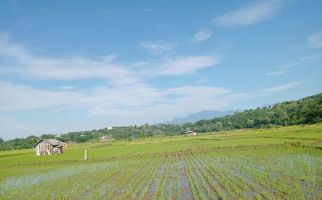 Kegiatan Demfarm Bantu Petani NTT Tingkatkan Produktivitas - JPNN.com