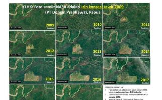 KLHK Mengklarifikasi Foto Satelit NASA Menggambarkan Kegundulan Hutan Papua - JPNN.com
