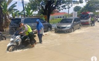 Puluhan Rumah, Jalan, dan Sawah di Gresik Jatim Terendam Banjir - JPNN.com