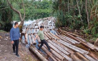 Polda Riau Sikat Anak Jenderal Terlibat Illegal Logging, Mabes Polri Kirim Bantuan - JPNN.com