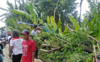 Pohon Tumbang Menimpa Pedagang dan 2 Pengendara Motor di Cipayung Depok - JPNN.com