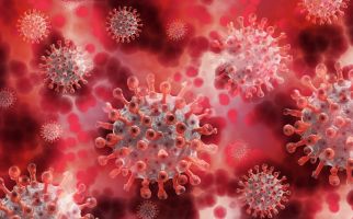 Waspada! Virus Marburg Belum Ada Obatnya, Pahami Gejala dan Cara Mencegahnya - JPNN.com