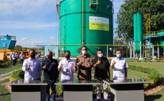 Kementerian BUMN Resmikan 3 PTBg Limbah Sawit Milik PTPN V - JPNN.com