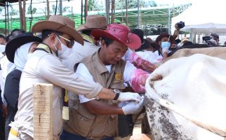 Kementan Dorong Provinsi Lampung Hasilkan 300 Ribu Bibit Sapi - JPNN.com