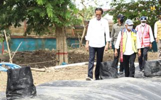 Tinjau Penanganan Banjir di Sintang, Jokowi Beri Perintah ke KLHK - JPNN.com