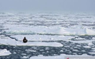 Pertama Kali Terjadi, Suhu di Arktik Tidak Pernah Sepanas Ini Sebelumnya - JPNN.com