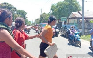 Puluhan Ribu Warga Sikka Mengungsi Akibat Gempa Berpotensi Tsunami - JPNN.com