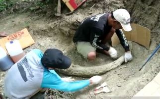 Petani Temukan Fosil Gading Gajah Purba Sepanjang 1,5 Meter - JPNN.com
