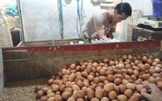 Harga Telur Ayam Terus Melonjak, Tembus Sebegini - JPNN.com
