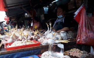 Harga Daging Ayam Potong Meroket, Pedagang Menjerit, Omzet Turun Drastis - JPNN.com