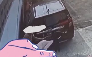 Detik-Detik 2 Sejoli Mesum di Belakang Mobil saat Ada Orang Lalu-Lalang, Ya Tuhan - JPNN.com