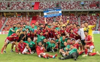 Ada Andil Legenda Chelsea dalam Permainan Apik Timnas Indonesia di Piala AFF? - JPNN.com