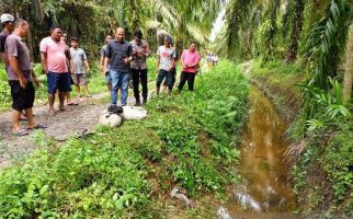 Walijah Ditemukan Meninggal Dunia Tertimpa Motor di Kebun Sawit, Polisi Bergerak - JPNN.com