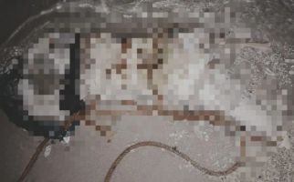 Penemuan Mayat Wanita Membusuk di Pulau Berhala, Kondisinya Mengenaskan - JPNN.com