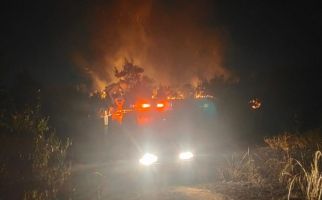 Lahan Seluas 2 Hektare di Kabupaten Bintan Diduga Dibakar - JPNN.com