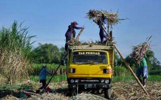 Sejahterakan Nasib Petani, PTPN Group Lakukan Transformasi Bisnis Gula - JPNN.com