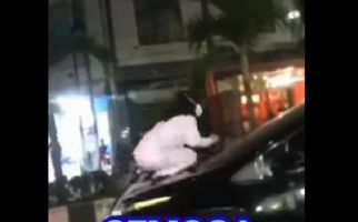 Viral Video Wanita Naik Kap Mobil Pergoki Suami Berselingkuh, Diduga Oknum Polisi - JPNN.com