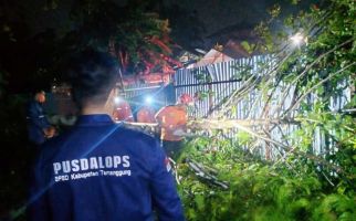 Angin Ribut Disertai Hujan Deras Akibatkan Pohon Tumbang & Beberapa Rumah Rusak - JPNN.com