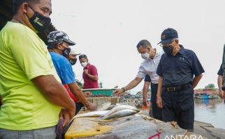 Datang Mengenakan Topi, Wapres Memborong Ikan di Pulau Cangkir - JPNN.com