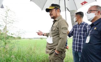 Kebutuhan Tinggi, Kementan Terus Penuhi Stok Jagung Nasional di Jeneponto - JPNN.com