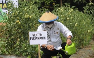 Mentan Minta Pekarangan Rumah Dimanfaatkan sebagai Lahan Produktif - JPNN.com