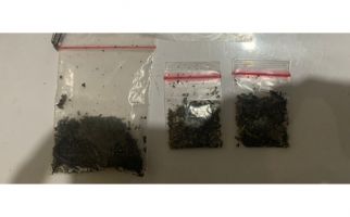 Bea Cukai Bogor Tindak Peredaran Narkoba Jenis Synthetic Cannabinoid - JPNN.com