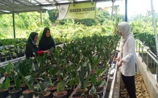 Petani Milenial Bogor Kembangkan Tanaman Hias Berdaun Indah, Diminati Hingga Mancanegara - JPNN.com
