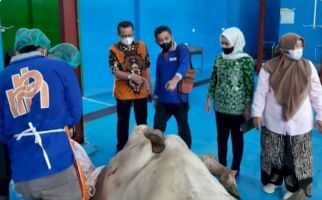 Jelang Bulan Ramadan, Daging Sapi Berdikari Diminati RPH dan Masyarakat - JPNN.com